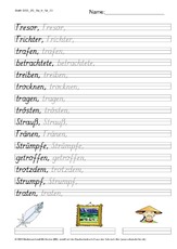 DSS_2S_Bu_tr_Nr_03.pdf